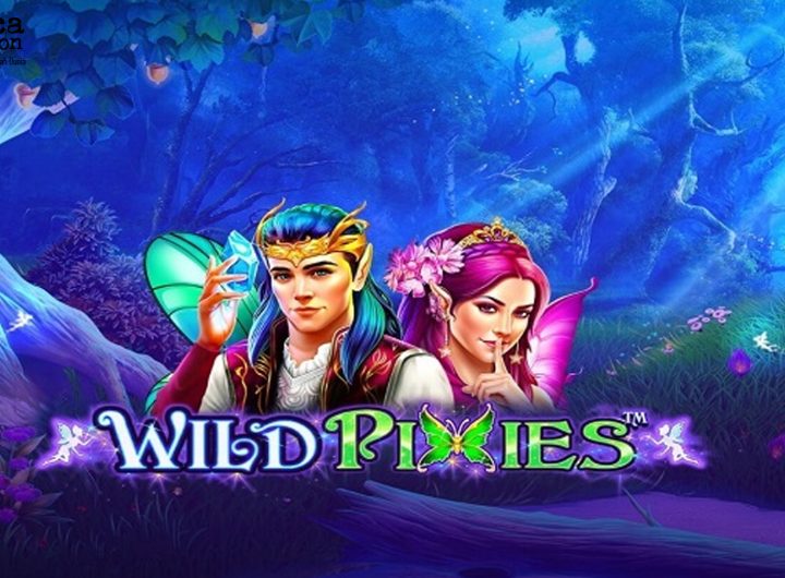 Toto8000 Wild Pixies Gak Kalem! Spin-nya Bisa Bikin Kaget