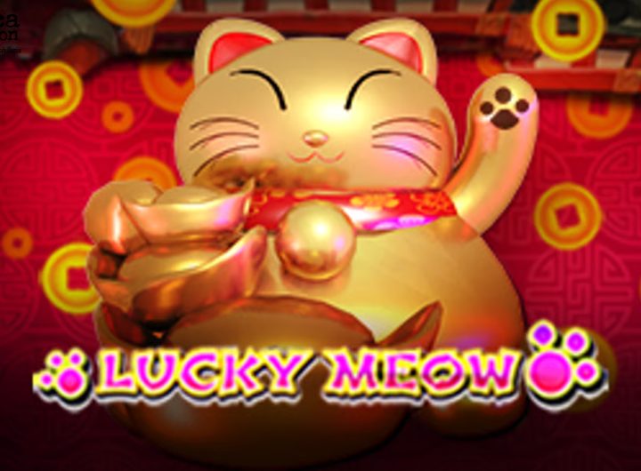 Mengenal 5 Komponen Penting yang Menyusun Slot Lucky Meow
