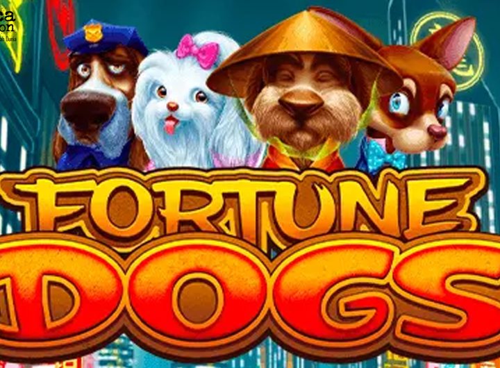 Kenapa Anak Muda Suka dengan 5 Keunggulan Fortune Dogs