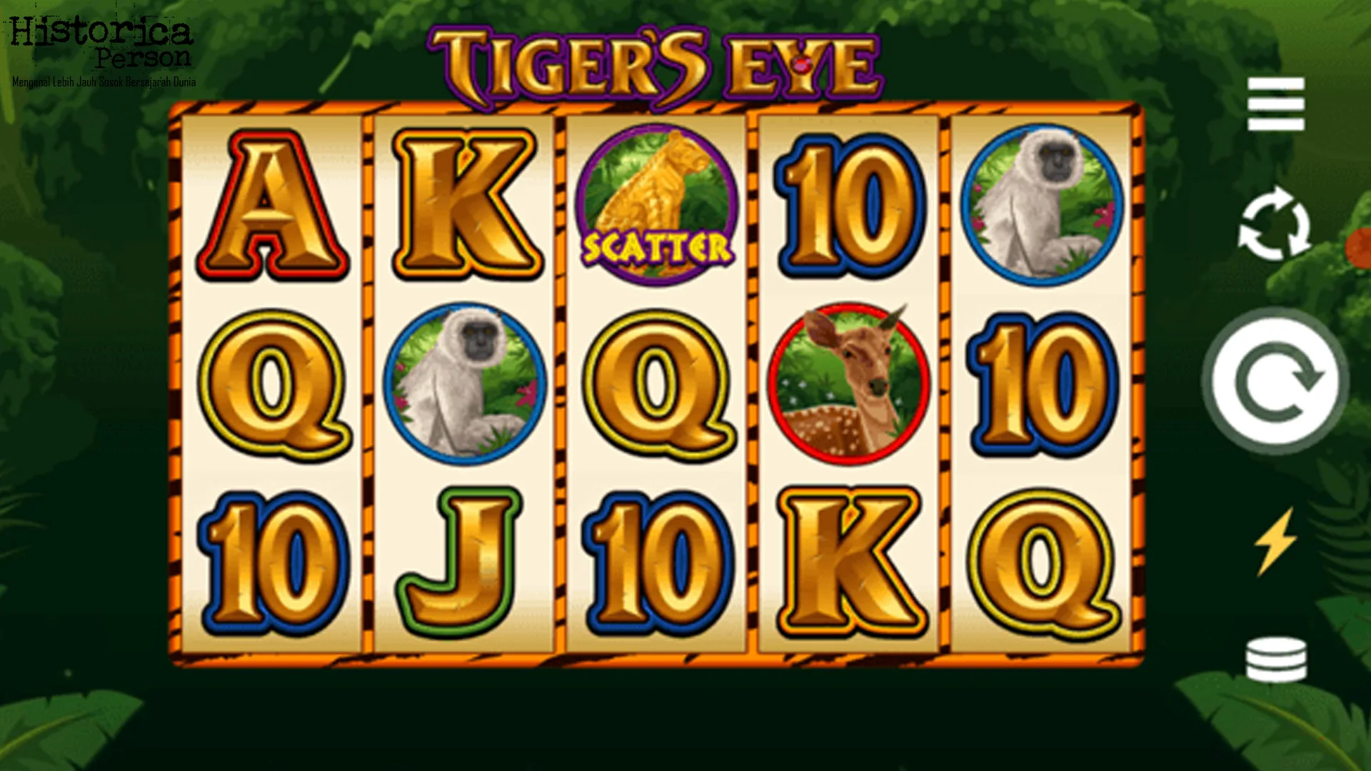 5 Alasan Tigers Eye Sering Jadi Pilihan Estetika Terbaru