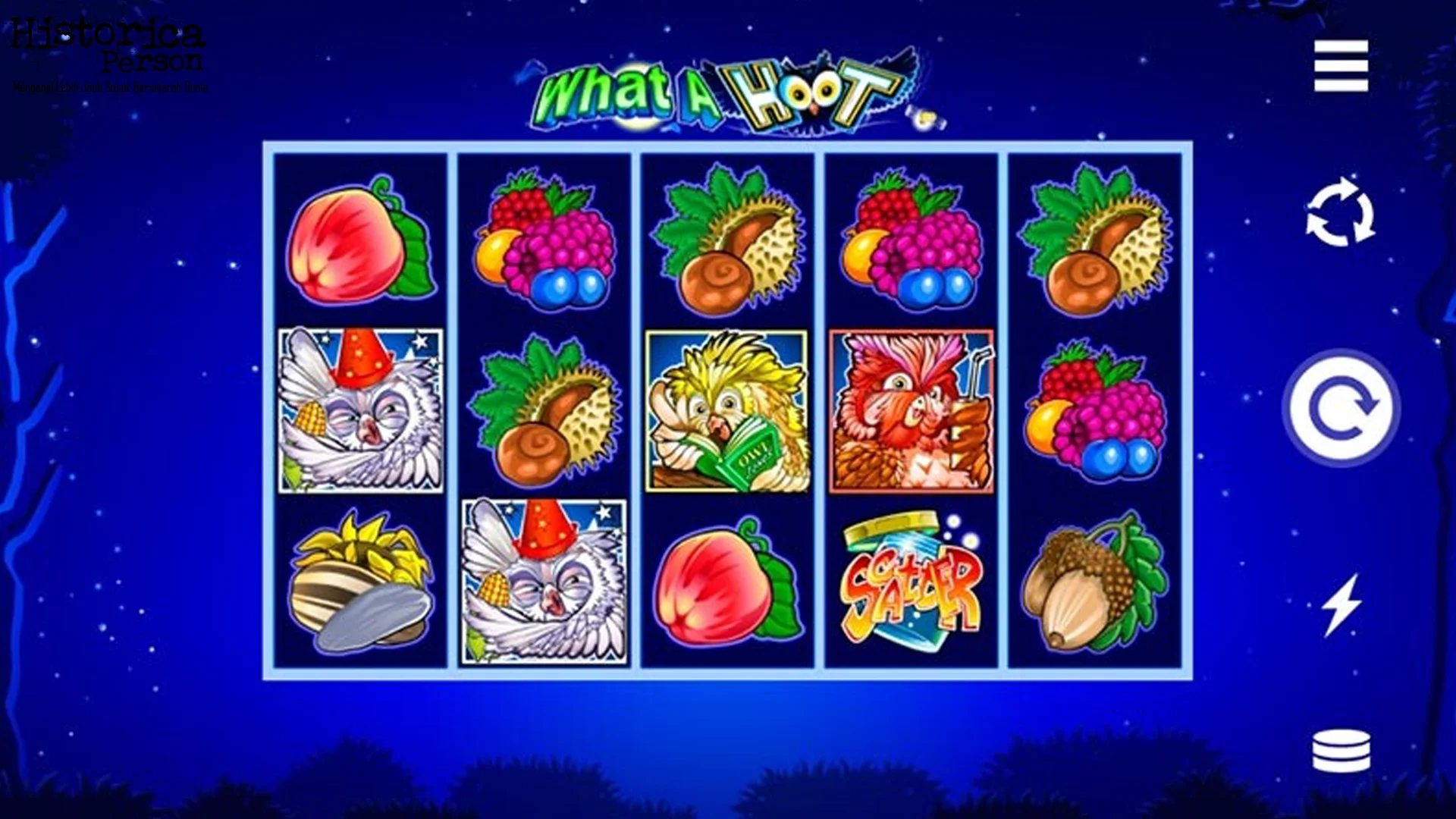 What A Hoot Dalam 5 Petir Berdasarkan Mekanisme Internal 2 What A Hoot Dalam 5 Petir Berdasarkan Mekanisme Internal